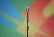 © Pixel-Shot - Public speaking and performance concept, microphone on stand with colorful blurred background for events and entertainment