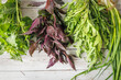 © Anna - Fresh basil, purple basil, arugula and green onions form a rustic border on a white wooden studio background with a natural, refreshing summer atmosphere