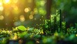 © nanskyblack - Rising green financial bars surrounded by soft gold bokeh, premium market growth background
