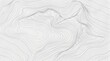 © Himagina - Abstract topographic contour map background with flowing wavy lines