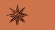 © Vector Vertor - Single Star Anise Spice on a Warm Orange Background