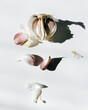 © Darina Belonogova/Stocksy - Garlic Bulb and Cloves