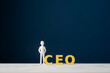 © Gajus - CEO leadership and executive management concept with businessman