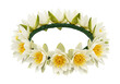 © Elsha - Water lily wreath delicate white petals and bright yellow stamens on green base isolated white background