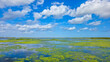© robertharding - Wide view of wetland with clouds and blue sky in Blue Cypress Conservation Area in Florida