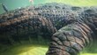 © ENDRY - Crocodile skin underwater.