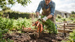 © Виталий Канев - Farmer Shaking Soil off Freshly Harvested Carrots in a Garden