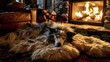 © TrendVault Media - Fluffy border collie dog sleeps peacefully on a soft wool rug in front of a warm glowing fireplace during a cold and cozy winter evening