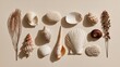 © Honey - Seashells, stones, and dried reeds arranged on a beige surface, conveying a coastal ambiance perfect for a serene spa concept or calming background