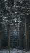 © Travel 'n' Lifestyle - View of a dense forest with tall pine trees covered in fresh snow during a cold winter day in Svitavy, CZ.