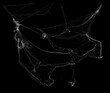© TSViPhoto - Tangled spider's web on isolated white background for Halloween design. Black cobweb for applying in multiply blend mode on any concept