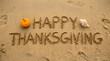 © MSTSOLENUR - Happy thanksgiving message written in sand with a pumpkin and seashell on a beach