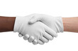 © iqbal - handshake isolated on white background