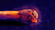 © jittam - Burning match head with glowing embers and smoke, showcasing friction heating effects