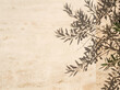 © Momo - Mediterranean olive tree shadow on beige travertine wall, minimalist stone texture background, elegant organic floral silhouette