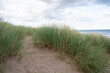 © Sofia Alves - Sand dunes on the beach