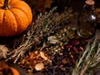 © DairotilIrfan - Dried herbs, pumpkin, and vintage potion bottle on a dark wooden table, concept of autumn witchcraft and herbal apothecary