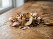 © IbragimovN - Pencil sharpenings and pencil on rustic wooden table near window