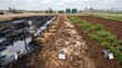 © Luiza - Environmental remediation site with oil spill and monitoring equipment