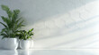 © jianjian - Modern minimalist interior background with green potted palm plants against white hexagonal pattern wall and marble floor with sunlight shadows