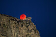 © Travel 'n' Lifestyle - Cape Town, South Africa - 28 August 2026: View of Table Mountain with a blood moon rising behind the cableway station on the rocky cliff edge under a dark blue night sky.