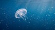 © TaZJunG - A single transparent jellyfish swimming in the deep blue ocean water.