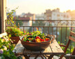 © Y eto - Fresh vegetable salad on a rustic table with city view