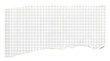 © Hassan - Torn graph paper scrap, ripped white grid notebook page, textured paper fragment for collage and scrapbooking