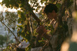 © Trendy Graphics - Profile view of a young man playing a harp outdoors in a vineyard