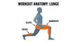 © Fortune Path - Fitness training exercise infographic showing lunge pose muscle anatomy activation including glutes quadriceps and calves