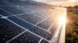 © Mr Ashrafi - Rainwater droplets on solar panel surface capturing golden sunset light for energy theme.