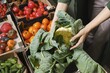 © Aleksei Isachenko/imageBROKER - Person holds large cauliflower surrounded by fresh vegetables in market. Stalls display tomatoes, cucumbers, and peppers