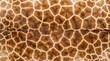 © Dionisia - Flattened Giraffe Skin Fur Texture with Brown Geometric Patch Pattern Full Frame Natural Background