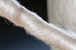 © Georgii - Extreme macro of white yarn under tension with soft lighting and textured fibers