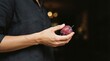 © BlackBird Studio - Person Holding a Fresh Purple Plum in Hand