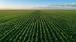 © Max - North American Farmland