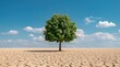 © Arfa_Media - Tree standing in a vast arid desert landscape with cracked parched earth symbolizing resilience and climate warming