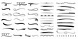 © Zimbunar - Decorative swirl, flourish, and underline vector collection for elegant design. ornament set includes calligraphic divider, swoosh, and curve elements for
