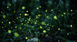 © Tanbir - Fireflies glowing in dark forest night