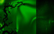 © Sahariar Studio - Dark forest green scene featuring silhouetted twisted tree branch on elegant draped fabric backdrop design.