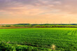 © Yaroslav - green sunset field with grass hills and wind power plant generating pure clean electric enerdy on background of landscape. green energy of future from wind turbines