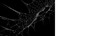 © The Stock King - Realistic spider web overlay with black preview and transparent PNG version for Halloween graphics, photo editing and horror compositions.
