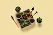 © Pixel-Shot - Organizer with plants in peat pots, shovel, spade and rake on beige background. Gardening supplies. Top view
