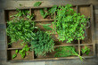 © Westend61 - Wooden box of different culinary herbs, string and scissors