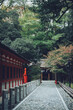 © Kobayanski - 神社の参道