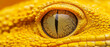 © NanSiri - Detailed macro of a brilliant yellow eye with a slit pupil and intricate, textured gold iris, surrounded by bumpy scales
