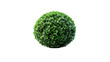 © Late - Green artificial topiary plant ball isolated on white background