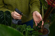 © Demetr White/Stocksy - Woman spraying Monstera leaves with water