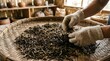 © world - Person wearing gloves sorting dried tea leaves in a traditional wicker basket