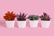 © Pixel-Shot - Pots with artificial succulent plants on pink background